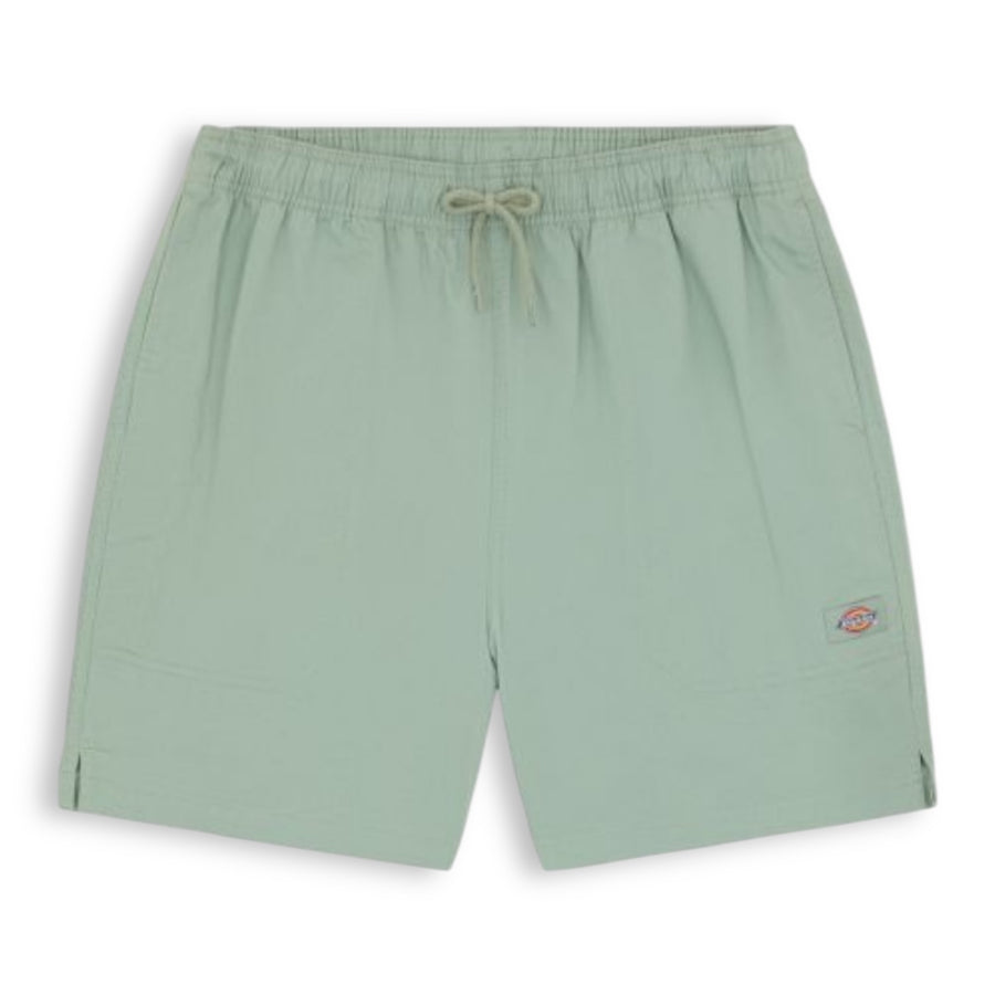 Dickies Pelican Rapids Shorts - Iceberg Green product image 2