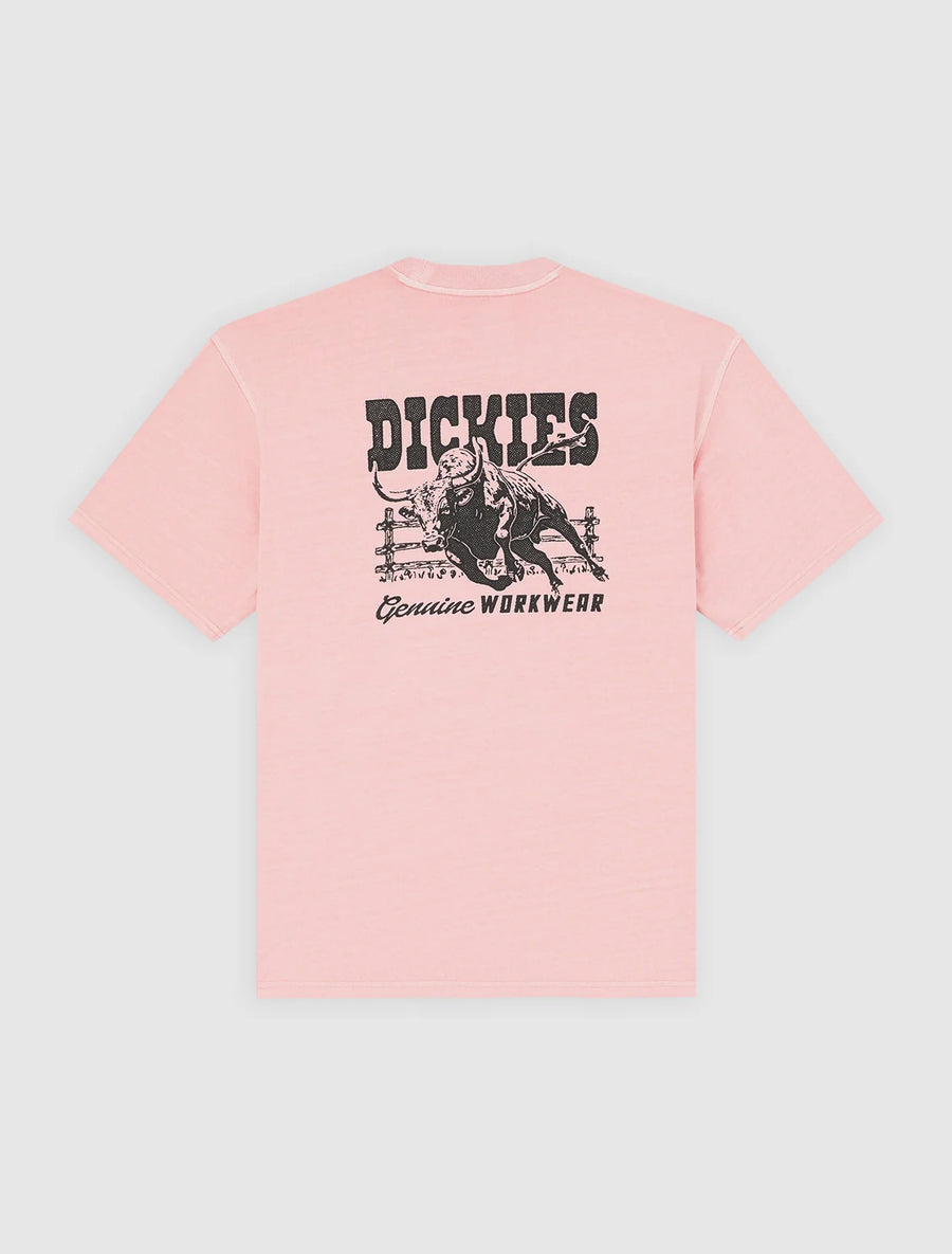 Dickies Buchtell midweight T-shirt - Pink