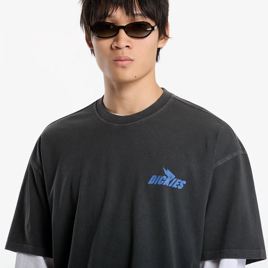 Dickies Shonto SS Tee in Black back view