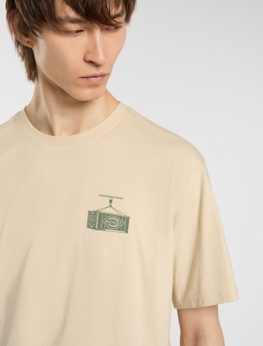 Dickies Apison T-shirt - Wood Ash product image 3