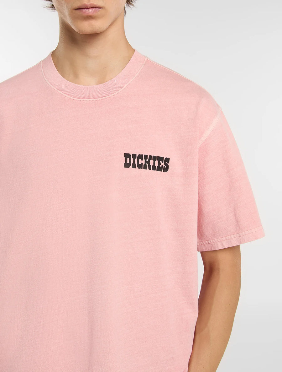 Dickies Buchtell midweight T-shirt - Pink product image 3