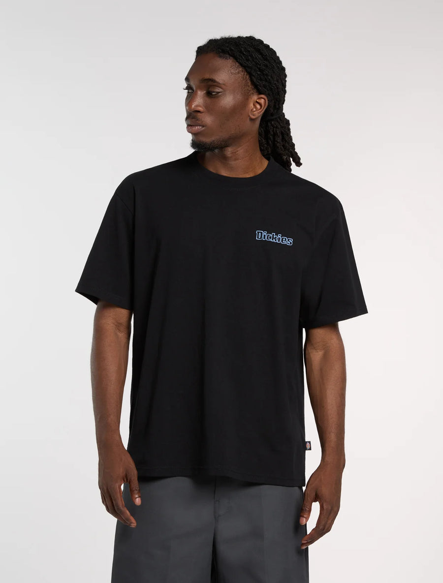 Dickies Fairlawn T-shirt - Black product image 2