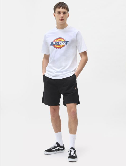 Dickies Pelican Rapids Shorts - Black product image 3