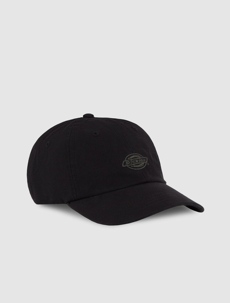 Dickies Duck Canvas Dad Cap - Black - view 1