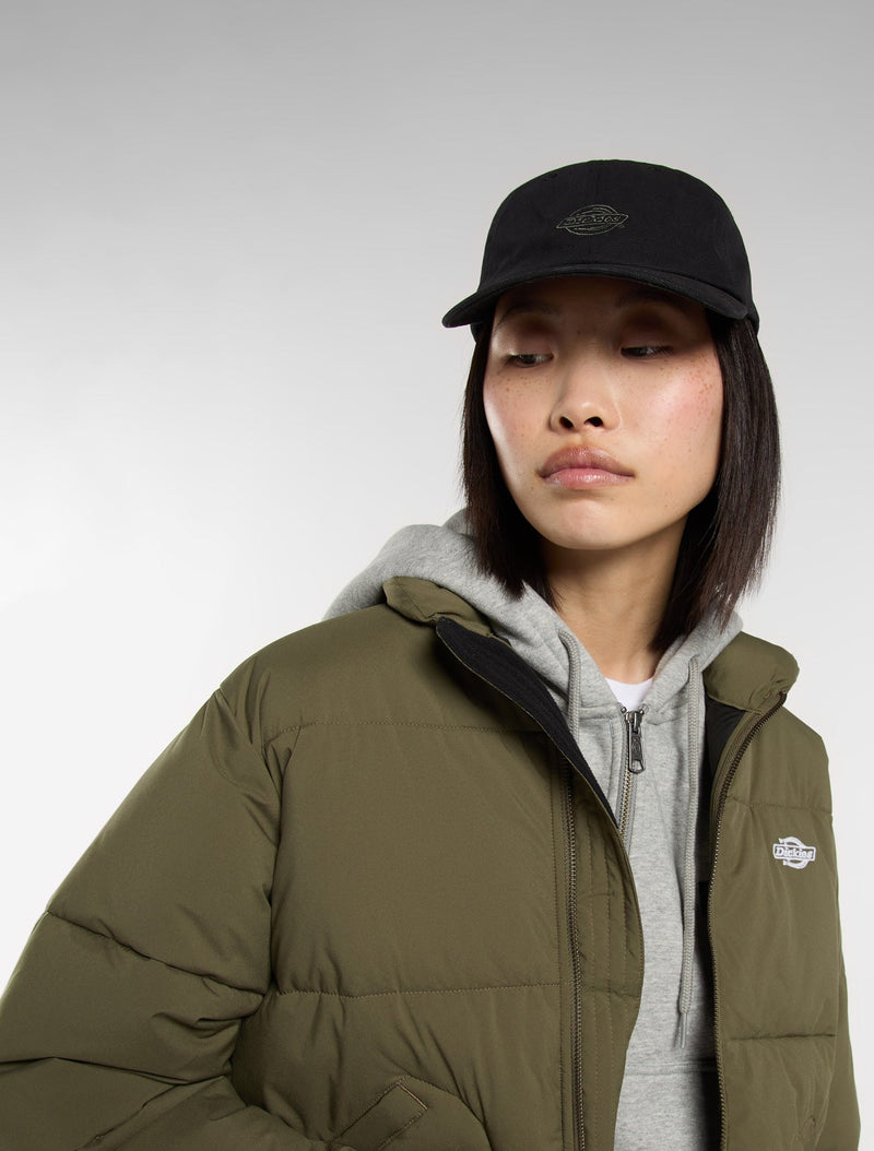 Dickies Duck Canvas Dad Cap - Black - view 5