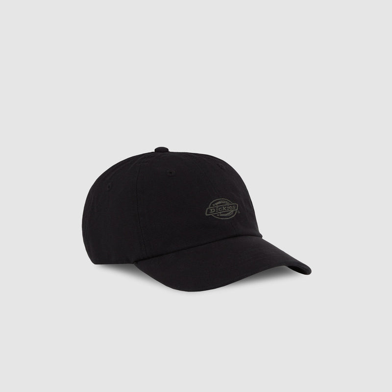 Dickies Duck Canvas Dad Cap - Black - view 6