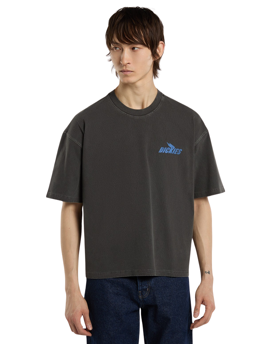 Dickies Shonto SS Tee in Egret front view