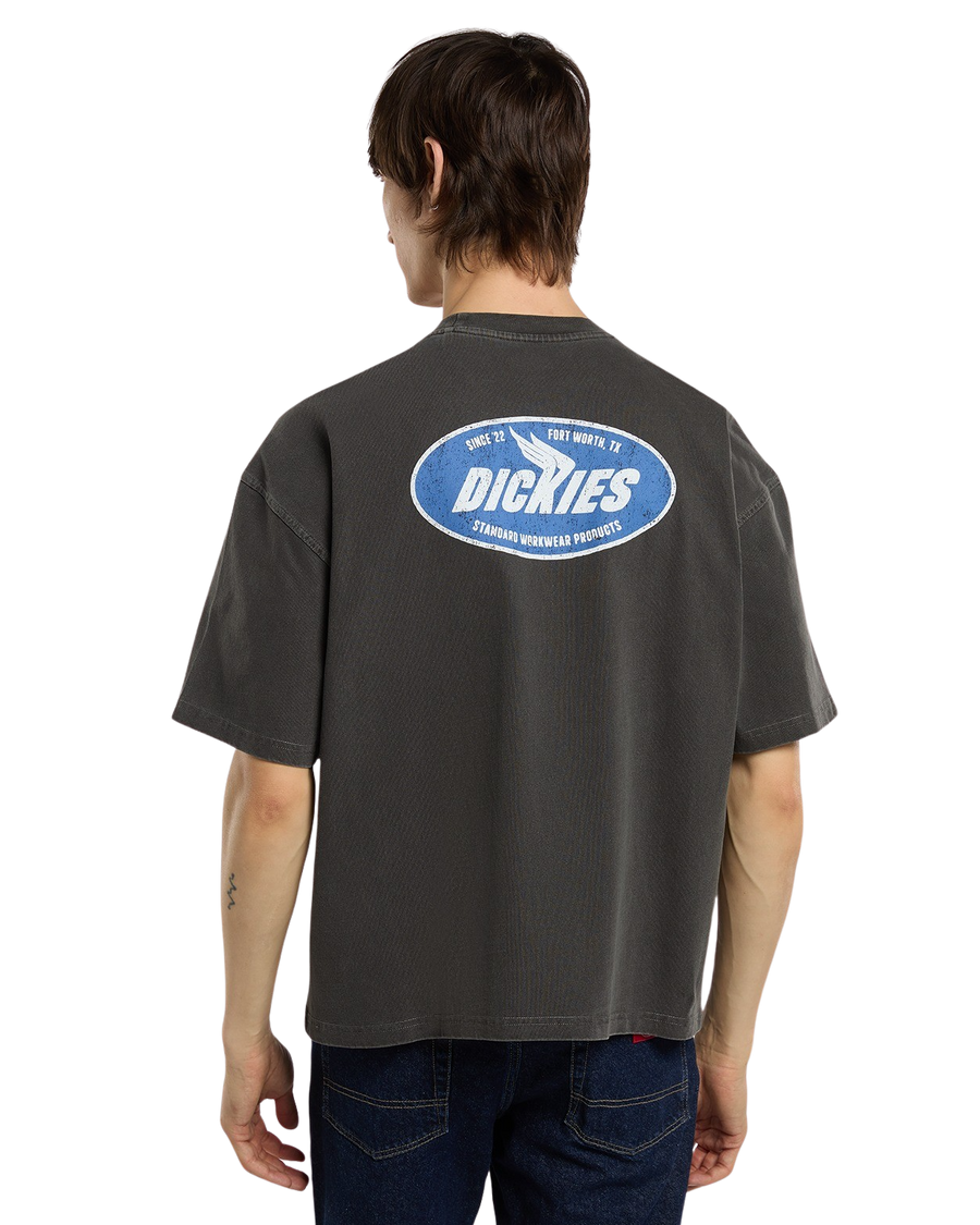 Dickies Shonto SS Tee in Egret back view