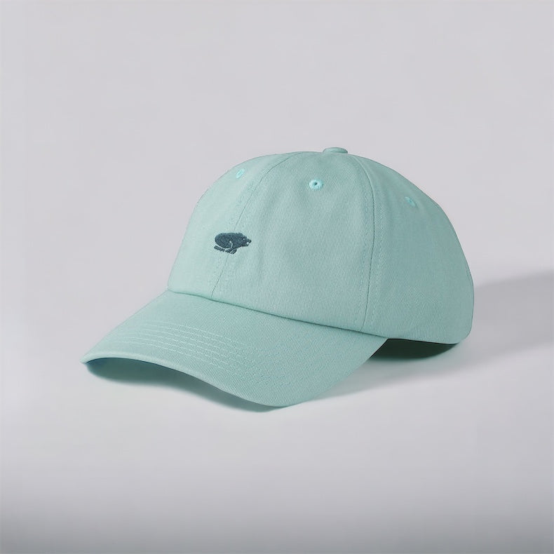 Karhu Classic Logo Cap - Surf Spray / forrest