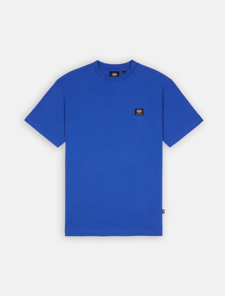 Dickies Mount Vista Short Sleeve T-Shirt - Blue