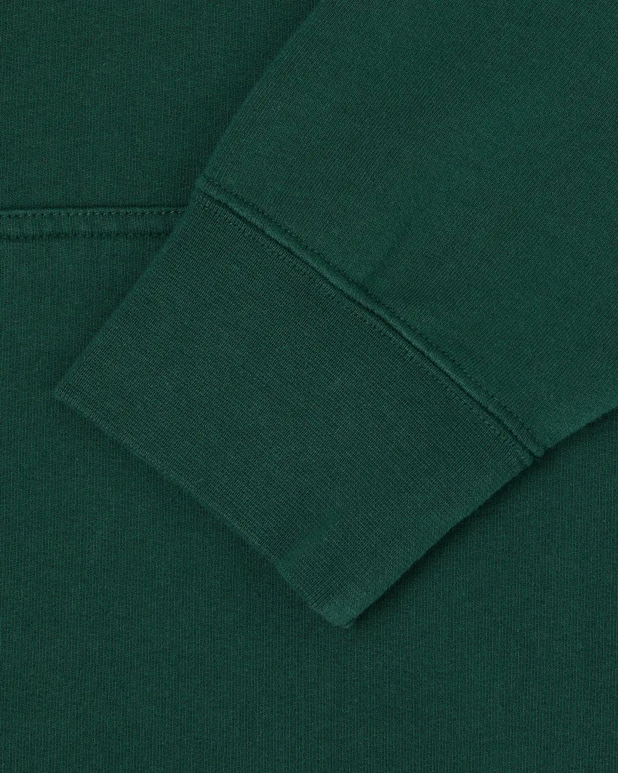 EDWIN - Sunset On Mt Fuji Hoody - Pine Grove product image 3
